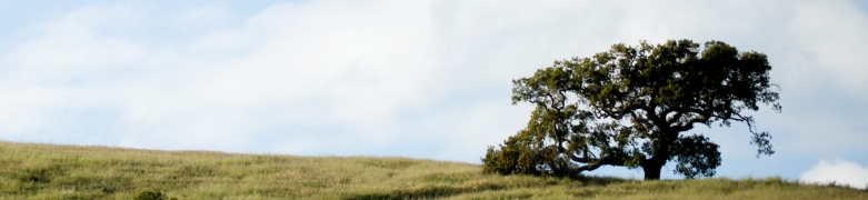 Dairy Creek Womens Golf Club