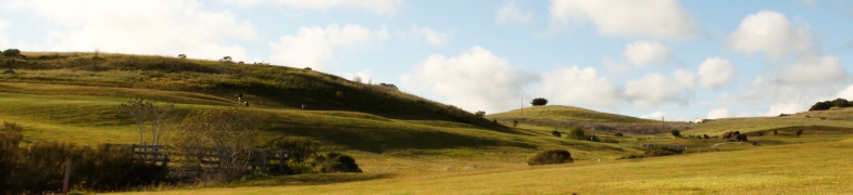 Dairy Creek Womens Golf Club
