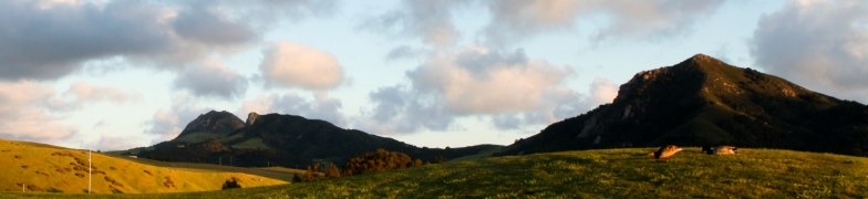 Dairy Creek Womens Golf Club