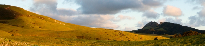Dairy Creek Womens Golf Club