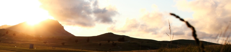 Dairy Creek Womens Golf Club