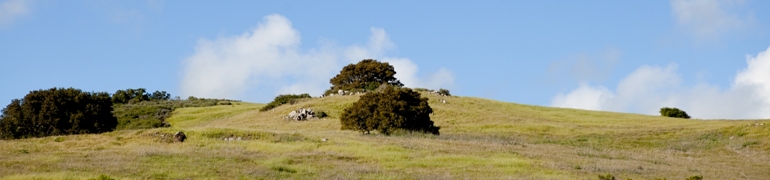 Dairy Creek Womens Golf Club